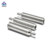 ลูกสูบสเตนเลสสตีล Hex Socket Spring Ball Point Screw