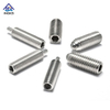 ลูกสูบสเตนเลสสตีล Hex Socket Spring Ball Point Screw